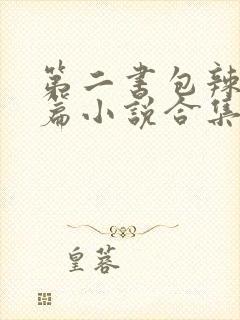 第二书包辣网短篇小说合集