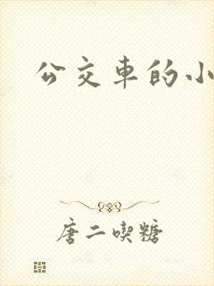 公交车的小说