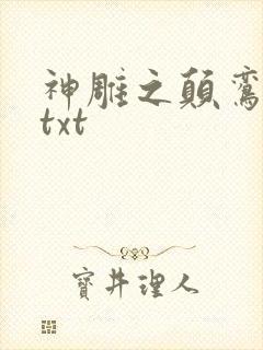 神雕之颠鸾倒凤txt