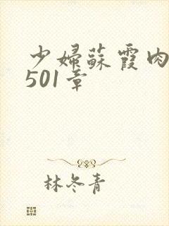 少妇苏霞肉欲第501章