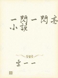 一闪一闪亮星星小说