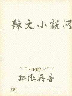 辣文小说网