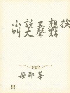 小说又想挨C了叫大声点