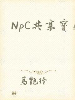 NpC共享宝贝