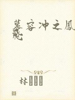 慕容冲之凤凰于飞封面