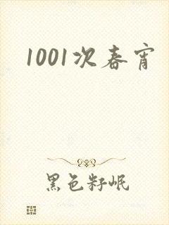 1001次春宵封面