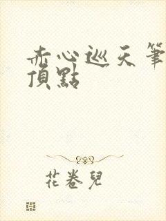 赤心巡天笔趣阁顶点封面