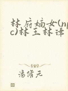 林府嫡女(npc)林玉林璋