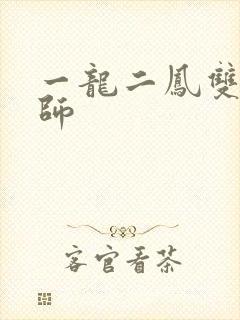 一龙二凤双飞老师