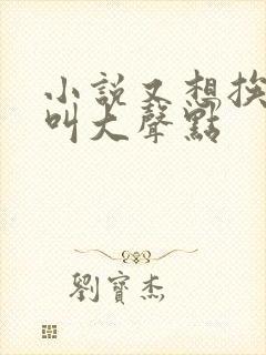 小说又想挨C了叫大声点封面