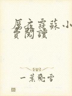 厉夜霆苏小汐免费阅读