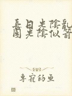 长日光阴乱作一团光阴似箭