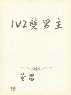 1V2双男主