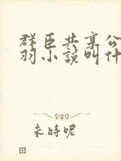 群臣共享公主银羽小说叫什么