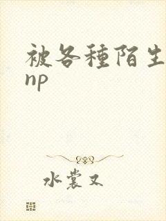 被各种陌生人 np