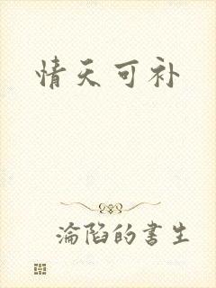情天可补