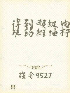 得到超级肉禽系统的维他柠檬茶