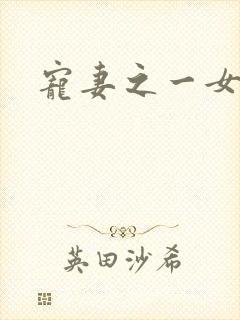 宠妻之一女二夫