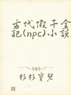 古代假千金挨日记(npc)小说