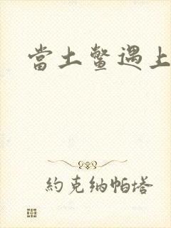 当土鳖遇上海龟