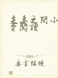 夫妻之间小说免费阅读