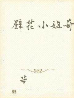 壁花小姐奇遇记