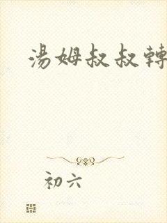 汤姆叔叔转接口