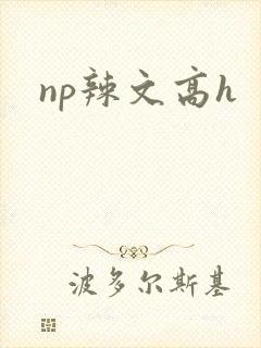 np辣文高h