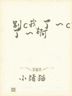 别c我了～c烂了～啊