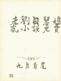 老刘日儿媳妇张岚小说免费阅读