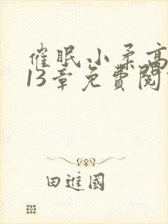 催眠小柔高达第13章免费阅读