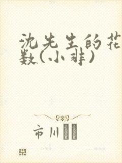 沈先生的花式调数(小非)