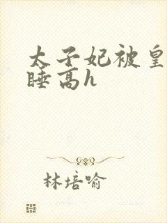 太子妃被皇上强睡高h