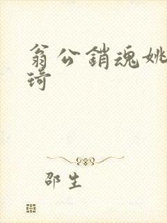 翁公销魂姚瑶琦琦封面