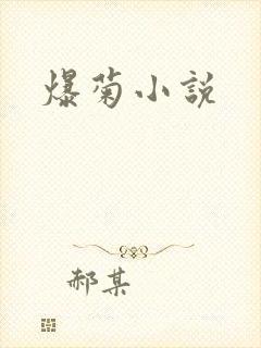 爆菊小说