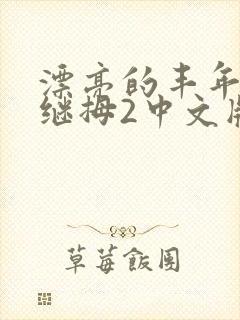 漂亮的丰年经的继拇2中文版