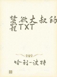禁欲大叔的心尖宠TXT