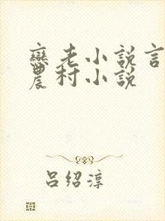 恋老小说言情网农村小说