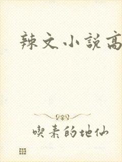 辣文小说高h