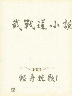 武战道小说