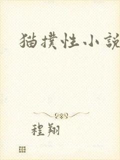 猫扑性小说