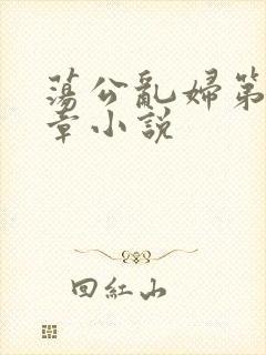 荡公乱妇第51章小说