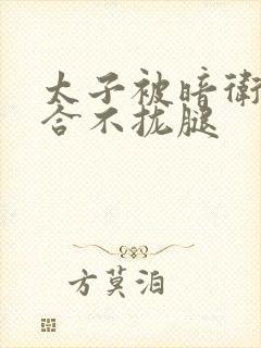 太子被暗卫c到合不拢腿封面