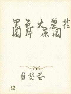 黑色大丽花真实图片 原图