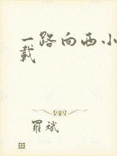 一路向西小说下载