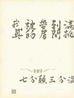 我被带到满是玩具的房间挑调游戏