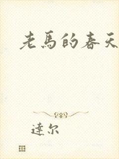 老马的春天敏静封面