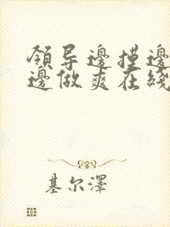 《领导边摸边吃奶边做爽在线观看》小说封面