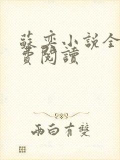 苏奕小说全文免费阅读