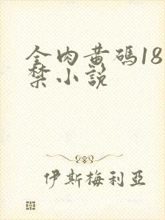 全肉黄码18无禁小说